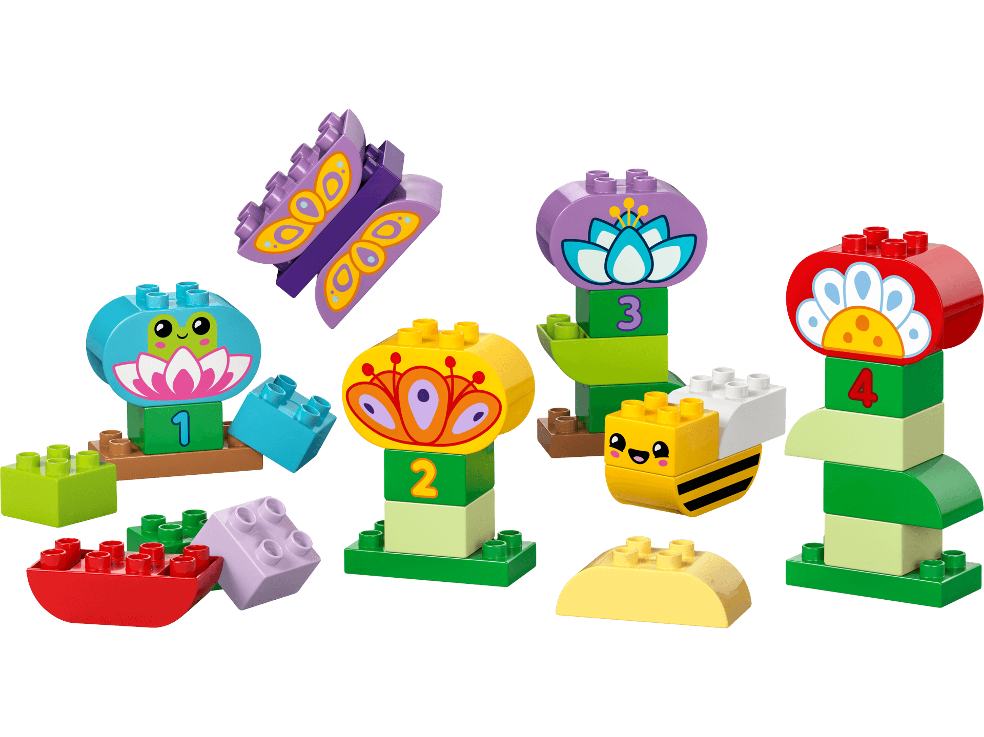 Creative Garden & Flowers