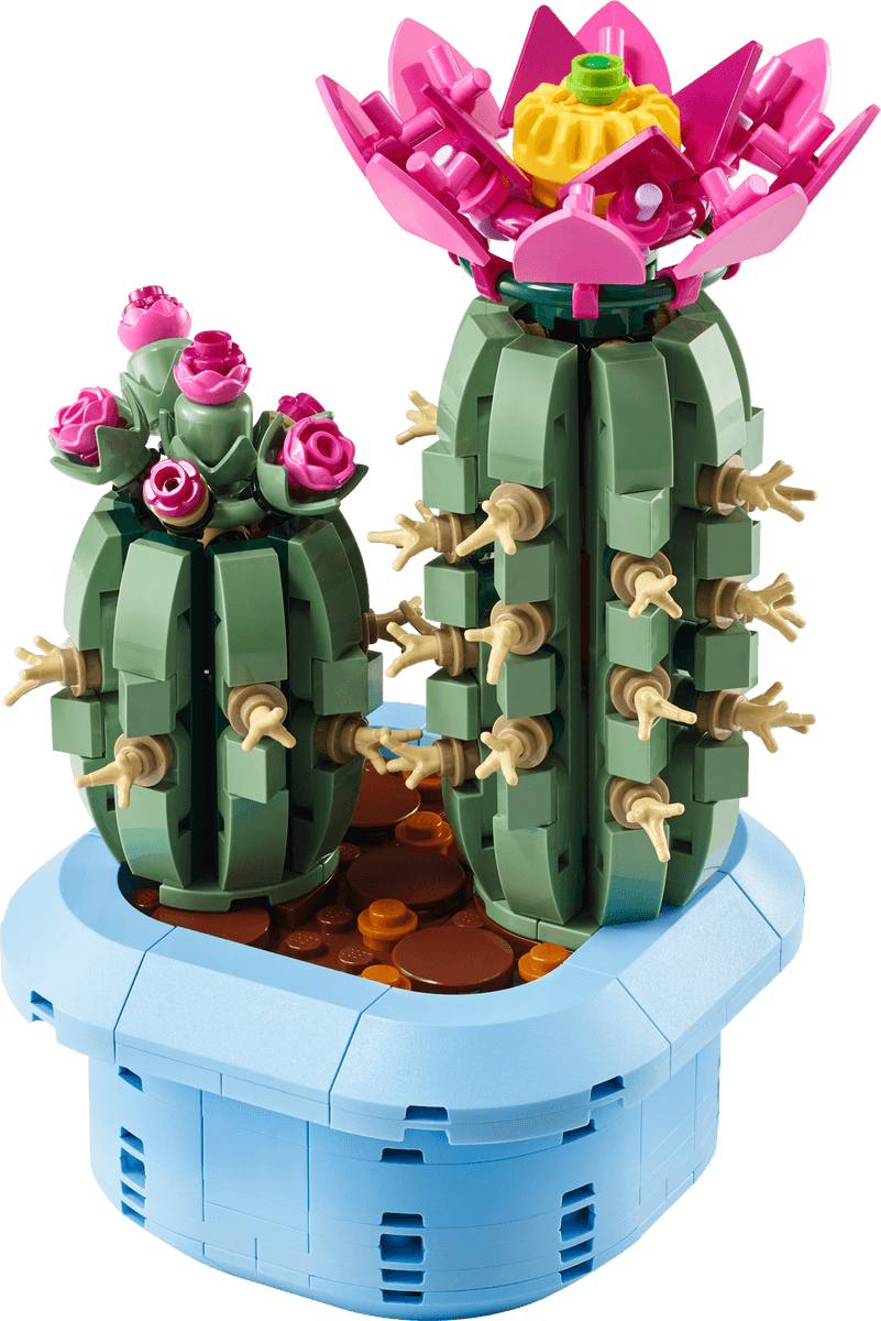 Flowering Cactus