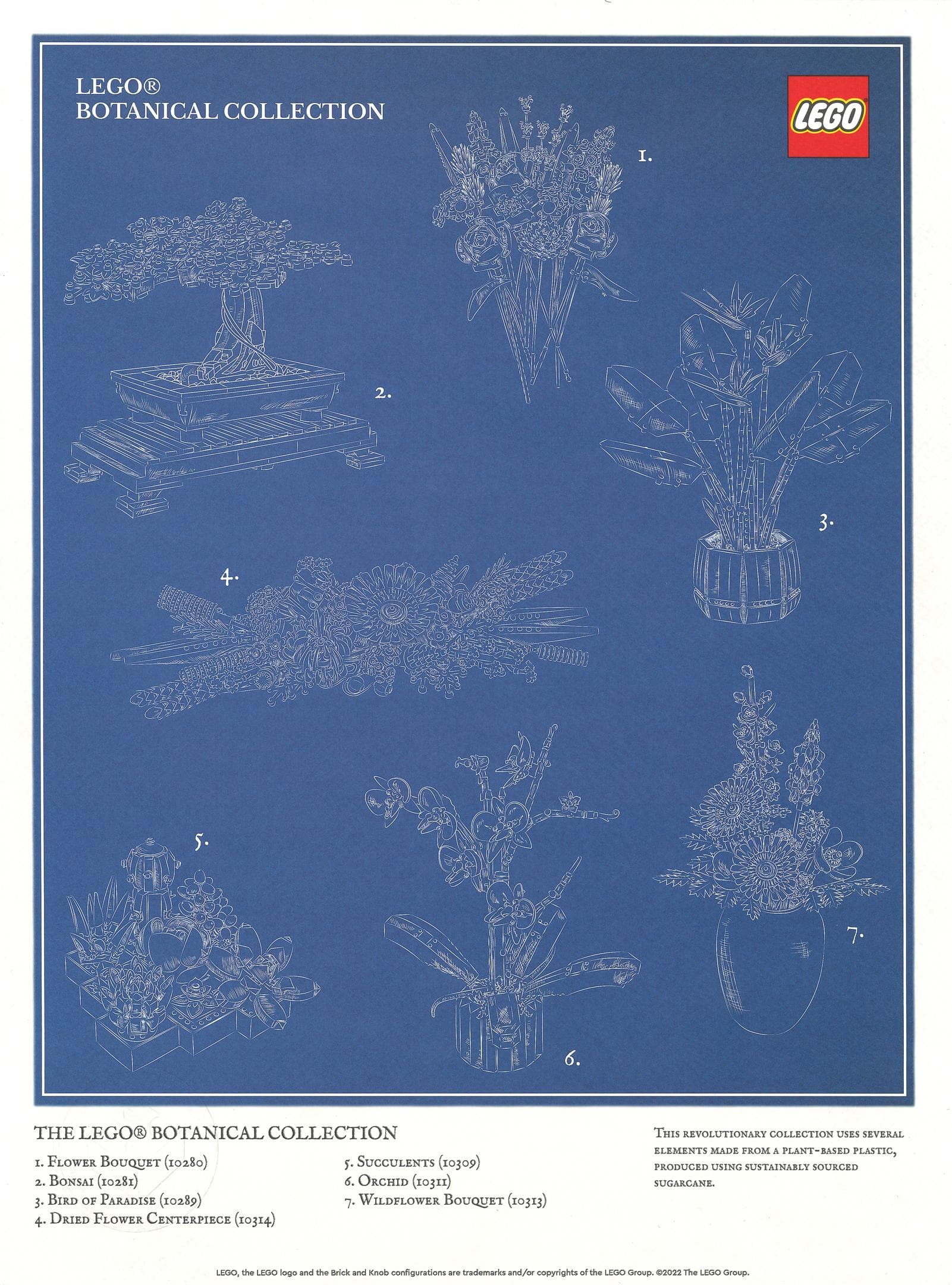 Botanical Collection Art Print – Blueprint