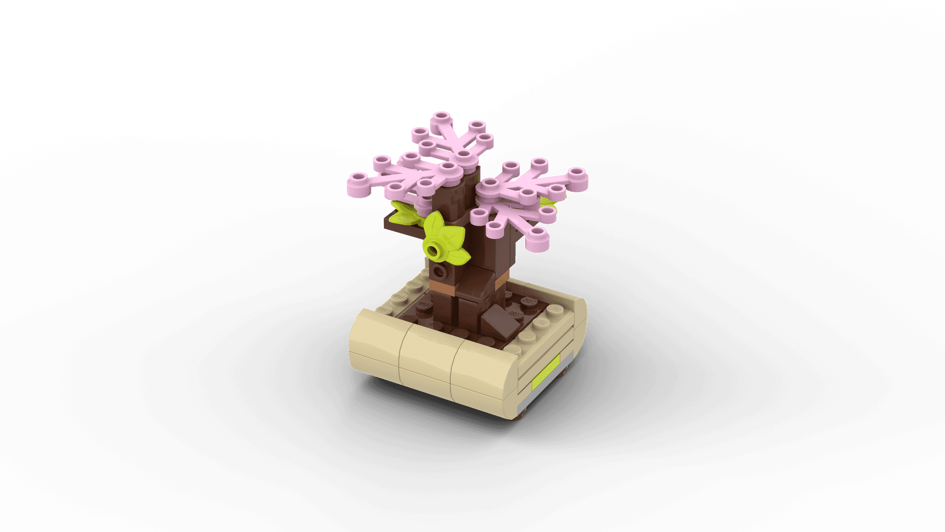 Lovely Bonsai Tree